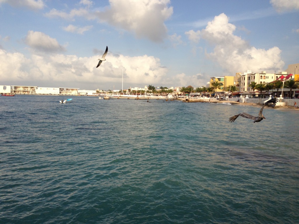 Karayip Denizi'nde turist gemilerinin en önemli uğral yerlerinden biri Cozumel adası. Yeni yıla bu adada girdik.