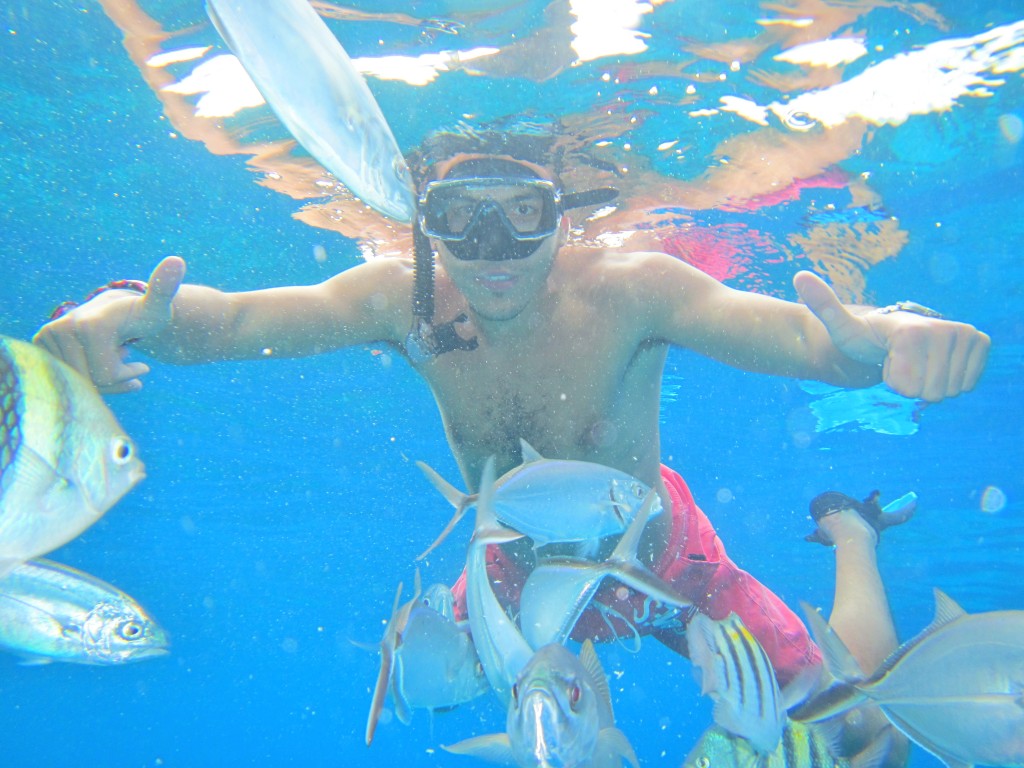 Cozumel muhteşem resifleri ve deniz canlılarıyla su altı sporları ile ilgilenenler için çok cazip bir yer. Biz de bir tekne turu ayarlayarak derinlikleri keşfettik.