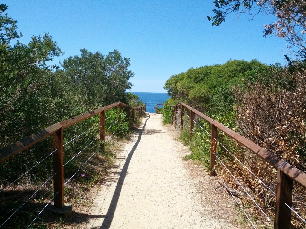 Cennete giden yol. Coogee ve Bondi arasındaki trekking rotasında karşıma çıkan güzelliklerden biri. Yolun sonunda muhteşem bir okyanus manzarası sizi karşılıyor.