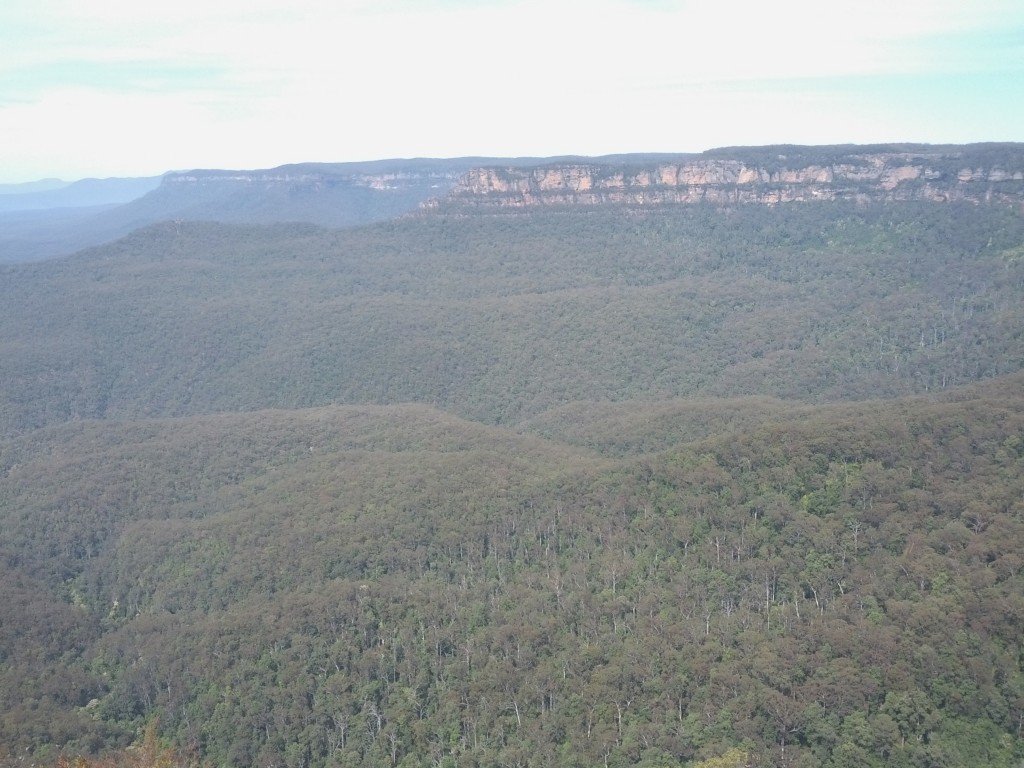 Blue Mountains bölgesi uçsuz bucaksız ormanlarla kaplı. Uzaklara bakınca çok açık bir mavi rengin bölgeye hakim olduğunu görüyorsunuz. Bölgeye Blue Mountains (Mavi Dağlar) ismi verilmesinin nedeni de bu. Bölgeyi büyüleyici yapan bu mavi rengin nedeni; "mia scattering" ismi verilen ve elektromanyetik radyasyon ilgili bir fiziksel olay. Çok basit açıklamasıyla, ultraviyole ışınlarının, atmosferdeki bölgeye özgün partiküllere çarpıp dağılması sonucu bu renk oluşuyor.