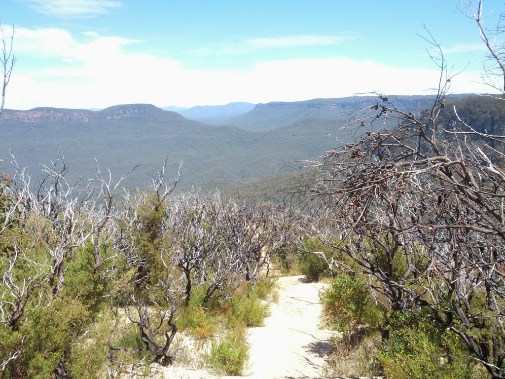 Trekking sonlarına doğru uçsuz bucaksız Blue Mountains manzarası ve gökyüzündeki bölgeye ismini veren masalsı mavilik.