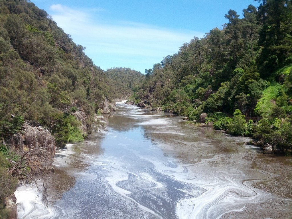 Cataract Gorge milli parkını ortadan ikiye bölen nehir. Böyle sakin göründüğüne bakmayın. Park içerisinde bu nehir üzerinde rafting yapılıyor.