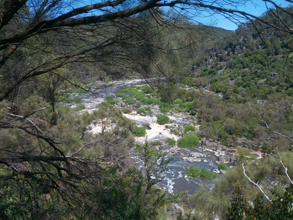 Park içerisinde uzun trekking rotalarında nerdeyse kimseyle karşılaşmadım. Launceston nüfusu çok az olan bir şehir, bu şehre gelen turistlerse genelde daha az yorucu ve kısa turları yapıyorlar. Ben tam günlük uzun bir rota seçtiğimden tur boyunca kimseyle karşılaşmadım ve doğayla tamamen başbaşaydım.