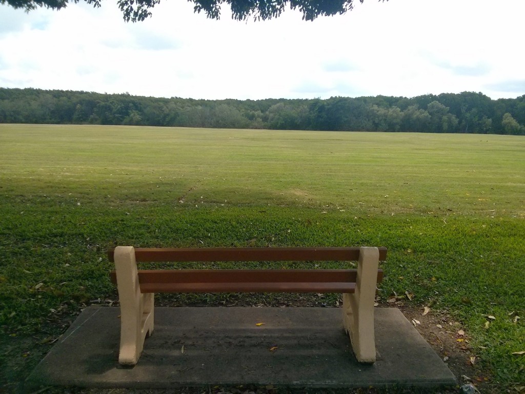 Cairns şehrindeki parklardan biri. Şehir yağmur ormanları ile çevrili olunca parklar da devasa ve ormanlık oluyor.