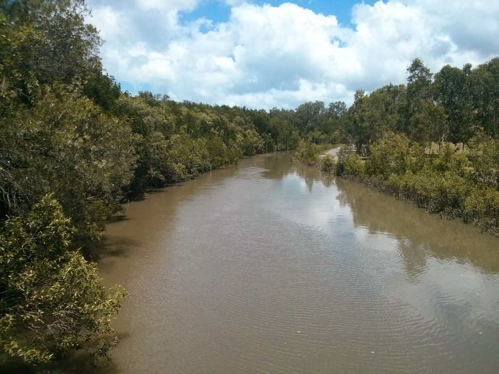 Cairns, Büyük Mercan Resifi'ne yakınlığıyla turist çektiği gibi, etrafındaki yağmur ormanlarını keşfetmek isteyen turistler için de önemli bir merkez. Ben de Cairns'deki ikinci günümü yağmur ormanlarına ayırdım.