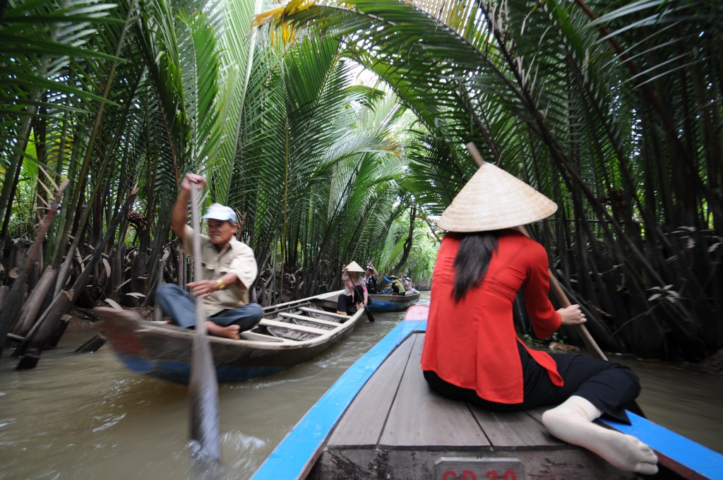 Mekong Deltası'nın olduğu bölge her ne kadar kırsal olsa da, Vietnam'ın nüfus yoğunluğu bakımından en kalablık bölgelerinden biri. Pirinç ekimi bölgedeki en büyük faaliyet.