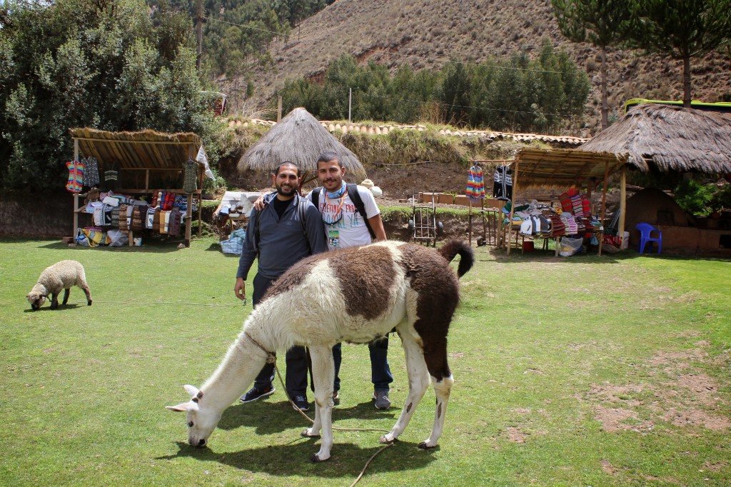 Cusco yolu üzerinde çok güzel bir durakta öğle yemeği molası verdik. Recep'le ilk lama pozumuzu da burada çektik. 