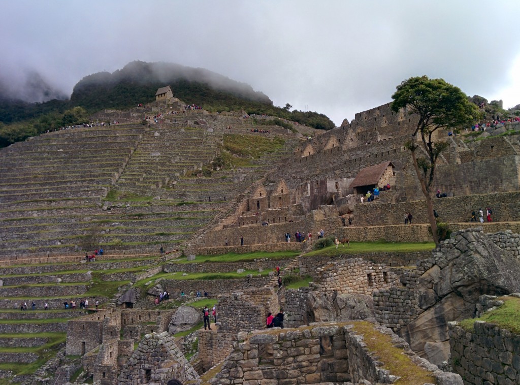 Machu Picchu bir İnka antik şehridir. 2007 yılında Dünyanın Yeni Yedi Harikası'ndan biri olarak seçilmiş. 