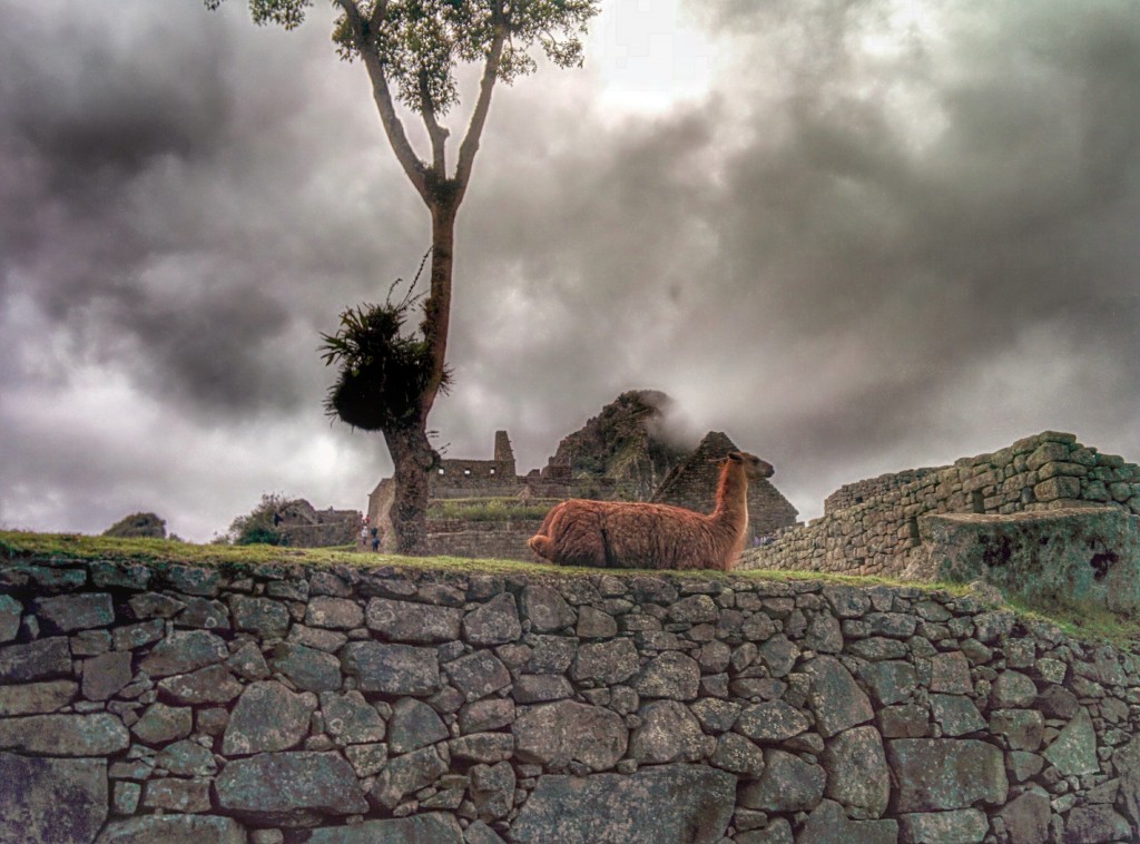 Machu Picchu Güney Amerika'nın en çok turist çeken yerlerinden biri. Machu Picchu'yu günde ortalama 2.000 kişi ziyaret ediyor. UNESCO ise harabelerin zarar görmememesi için bu sayının en fazla 800 olmasını talep ediyor.
